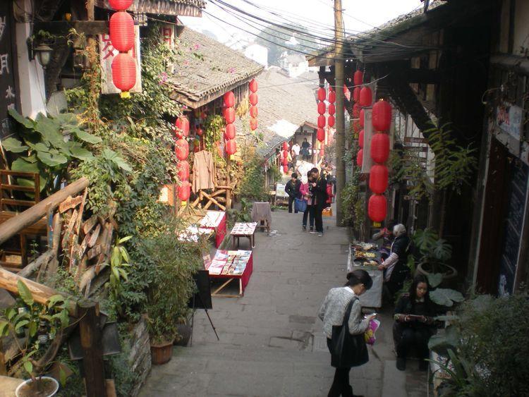 动物帮帮忙保卫家园